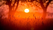 Imagem de Dezoito concelhos do país em risco máximo de incêndio