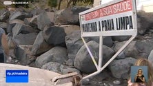 Imagem de Clube de Surf da Madeira participou no Dia Mundial da Limpeza