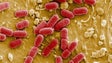 Imagem de Mau uso de antibióticos potencia aparecimento de superbactérias – OMS