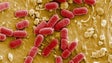 Mau uso de antibióticos potencia aparecimento de superbactérias – OMS