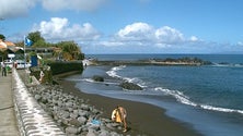 Imagem de Foca da Gronelândia avistada na ilha do Faial (Vídeo)