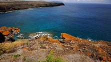 Imagem de Açores vão ter nova fábrica de atum (Som)