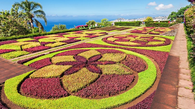 Covid-19: Madeira encerra Jardim Botânico, Jardins do Imperador e Casa das Queimadas