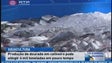 Imagem de A produção de dourada em cativeiro pode atingir as 4 mil toneladas nos próximos anos (Vídeo)