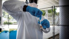 Imagem de Covid-19: Quatro novos casos e duas recuperações em São Miguel