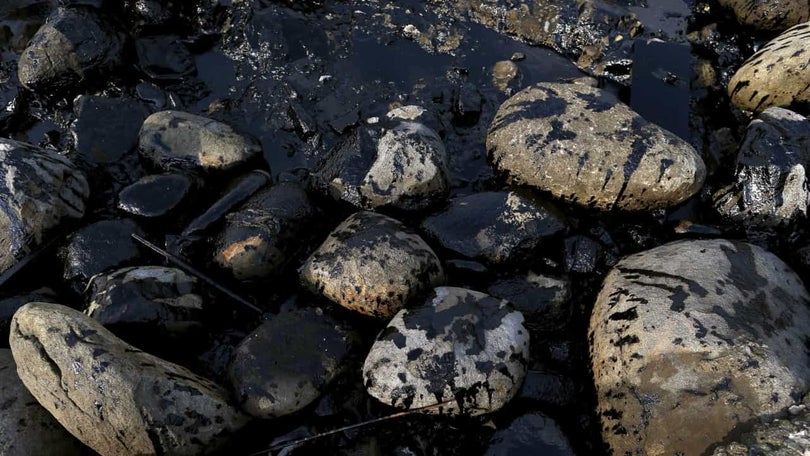 Imagem de Mancha de petróleo ameaça costa norte de Chipre
