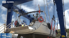 Imagem de Veleiro choca com baleia ao largo dos Açores (Vídeo)