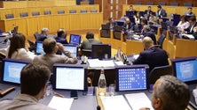 Imagem de PSD criticou o Orçamento do Estado (áudio)