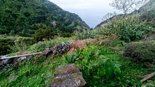 Imagem de Turismo responsável por vinte por cento do emprego nos Açores (Som)
