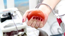 Imagem de Quebra de 70% nas colheitas do banco de sangue do Funchal (Vídeo)