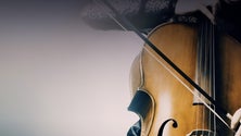 Imagem de Palácio de São Lourenço celebrou Dia dos Monumentos e Sítios com música
