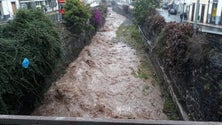 Imagem de Chuva forte de ontem fez soar alarme de sistema de monitorização de riscos naturais (Vídeo)