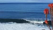 Imagem de Capitania do Funchal emite avisos de mau tempo e vento forte para a Madeira