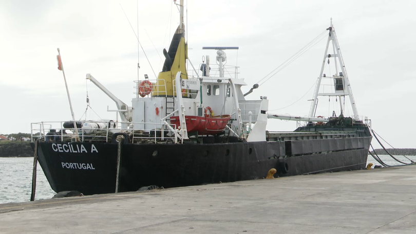 Imagem de Estaleiro Naval da Madalena do Pico atinge marco histórico