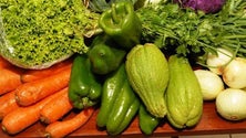 Imagem de Produtos hortícolas com menos procura (áudio)