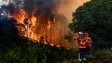 Incêndios: Quase 190 feridos e 865 pessoas retiradas das casas numa semana