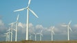 Imagem de Madeira produz mais energia limpa (vídeo)