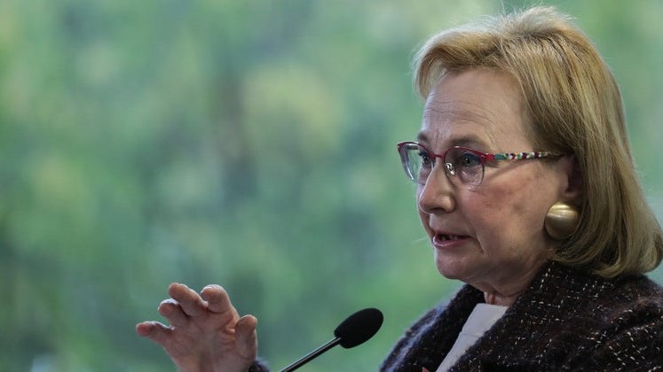 Imagem de DGS vai divulgar nota técnica sobre vacinação de crianças