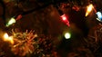 Imagem de Machico já tem cores de natal