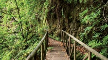 Imagem de “Cá dentro é Melhor” é a nova rubrica da Antena 1 Madeira (Áudio)