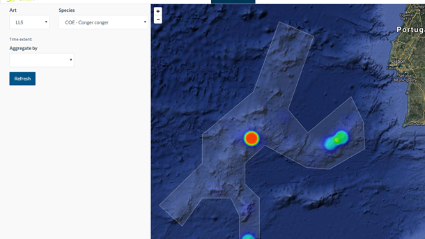 Reforçada a monitorização das pescas nos montes submarinos da Madeira