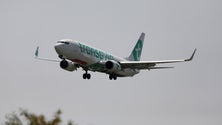Imagem de Avião da Transavia declara emergência após descolar da Madeira