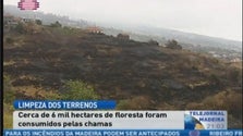 Imagem de 6 Mil hectares de floresta ardidos (Vídeo)