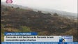 Imagem de 6 Mil hectares de floresta ardidos (Vídeo)
