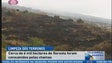 6 Mil hectares de floresta ardidos (Vídeo)