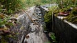 Imagem de Pressão sobre recursos naturais é maior na Madeira