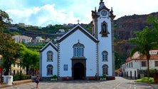 Imagem de Câmara da Ribeira Brava cortou árvores do adro da igreja