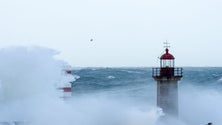 Imagem de Madeira não deverá sofrer consequências da massa de ar polar (vídeo)