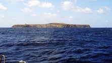 Imagem de Pesca ilegal e navegação em áreas protegidas lideram infrações na natureza