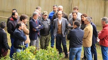 Imagem de PSD diz que pastoreio ordenado continua nas serras