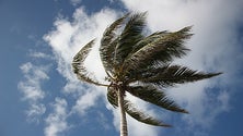 Costa sul da Madeira sob aviso amarelo devido ao vento forte