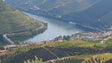 Imagem de Autoridades espanholas lançam buscas por crocodilo muito agressivo no Douro
