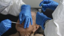 Imagem de Virologistas alemães alertam para perigo de uma segunda onda de Covid-19