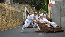 Imagem de Carreiros do Monte pedem melhores condições (Áudio)