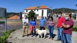 Imagem de CDS denuncia falta de recintos desportivos (vídeo)
