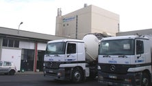 Imagem de Lavoura da Terceira em risco de perder 700 mil euros (Vídeo)