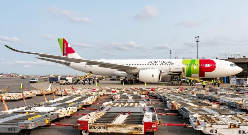 Air transport remains at record levels – Economy – RTB Madeira