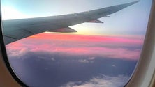 Imagem de Covid-19: TAP vai voar apenas para a Madeira e os Açores entre 1 de abril e 4 de maio
