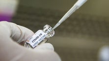 Imagem de Covid-19: Madeira estima receber 200 mil vacinas