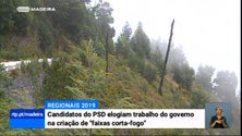 Imagem de PSD elogia ação do Governo Regional no combate às alterações climáticas