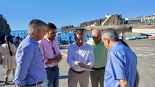 Imagem de PSD enaltece crescimento registado no setor das pescas na Região (áudio)