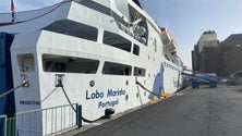 Imagem de «Lobo Marinho» cancela viagens de amanhã devido ao mau tempo