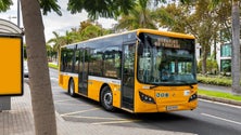 Imagem de Horários do Funchal promete inovações nos próximos anos (áudio)