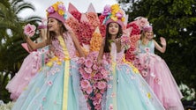 Cortejo da Festa da Flor marcado para 3 de outubro