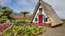 Imagem de ACIF quer campanha de comunicação que apresente a Madeira como destino seguro (Áudio)