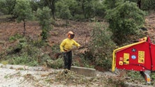 Imagem de Sapadores florestais em greve